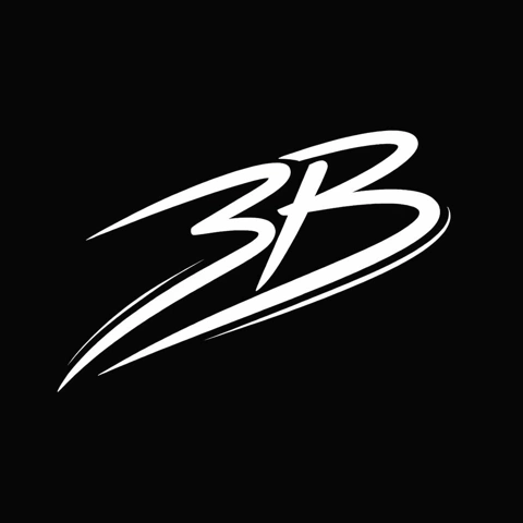 3B