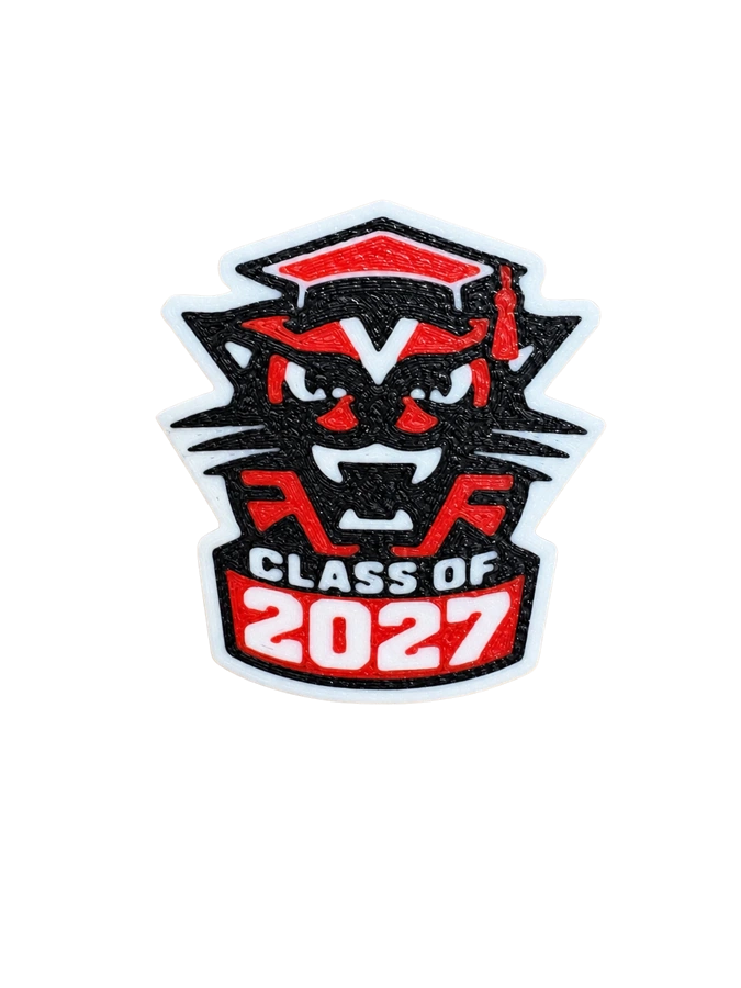 Class of 2027 Wildcat Pin