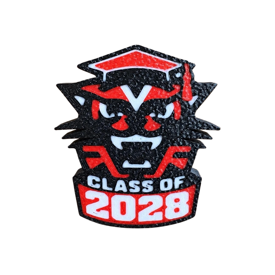Class of 2028 Wildcat Pin